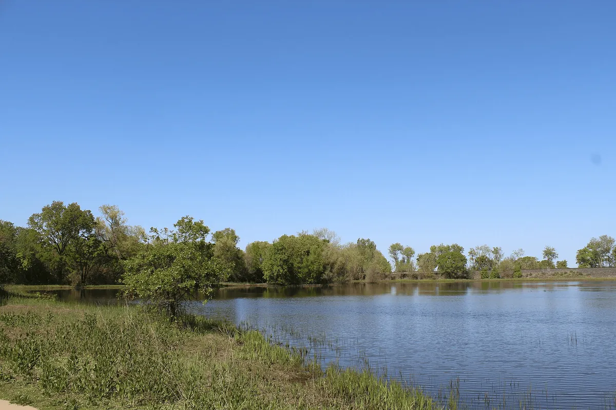 Cosumnes River Preserve