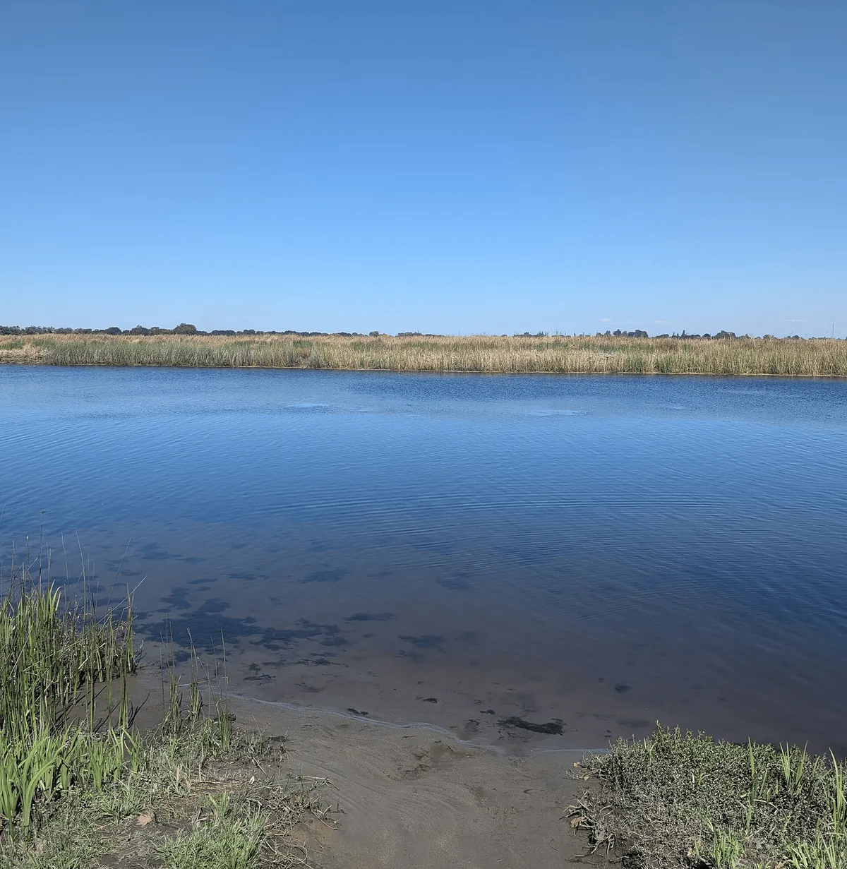 Brannan Island State Recreation Area