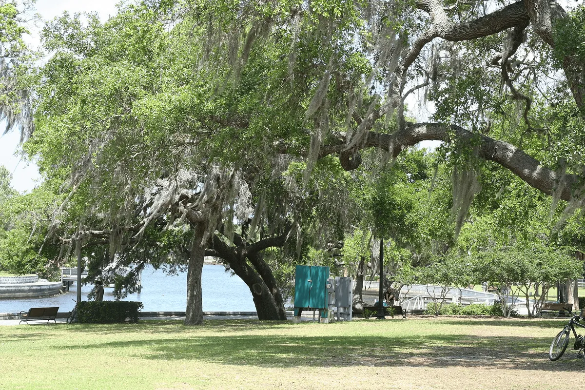 Sims Park